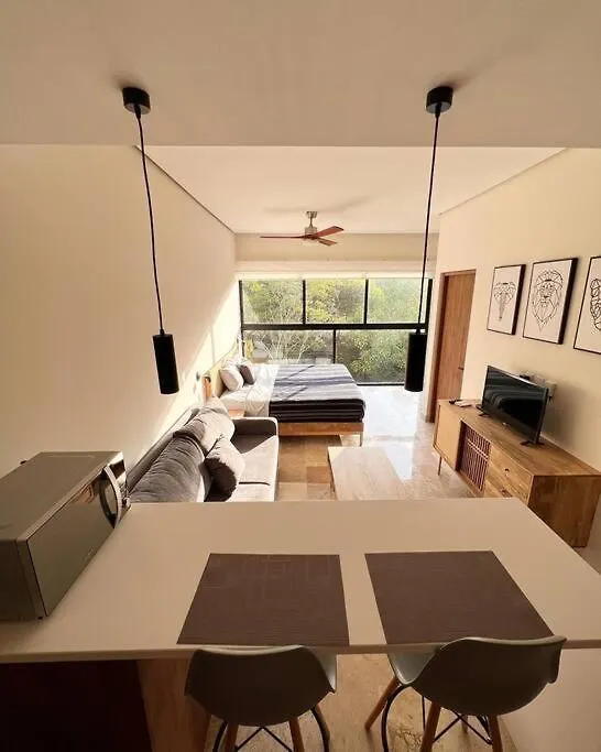 公寓 图卢姆Loft, Gym, Pool, Internet Zama公寓 墨西哥