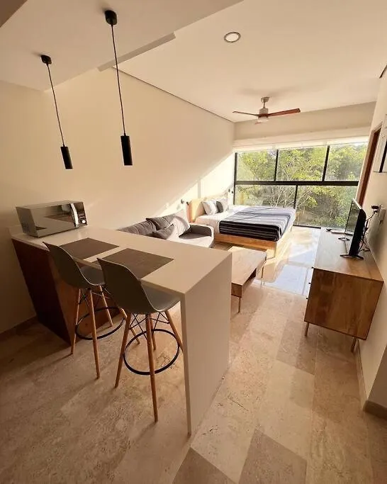 图卢姆Loft, Gym, Pool, Internet Zama公寓 公寓